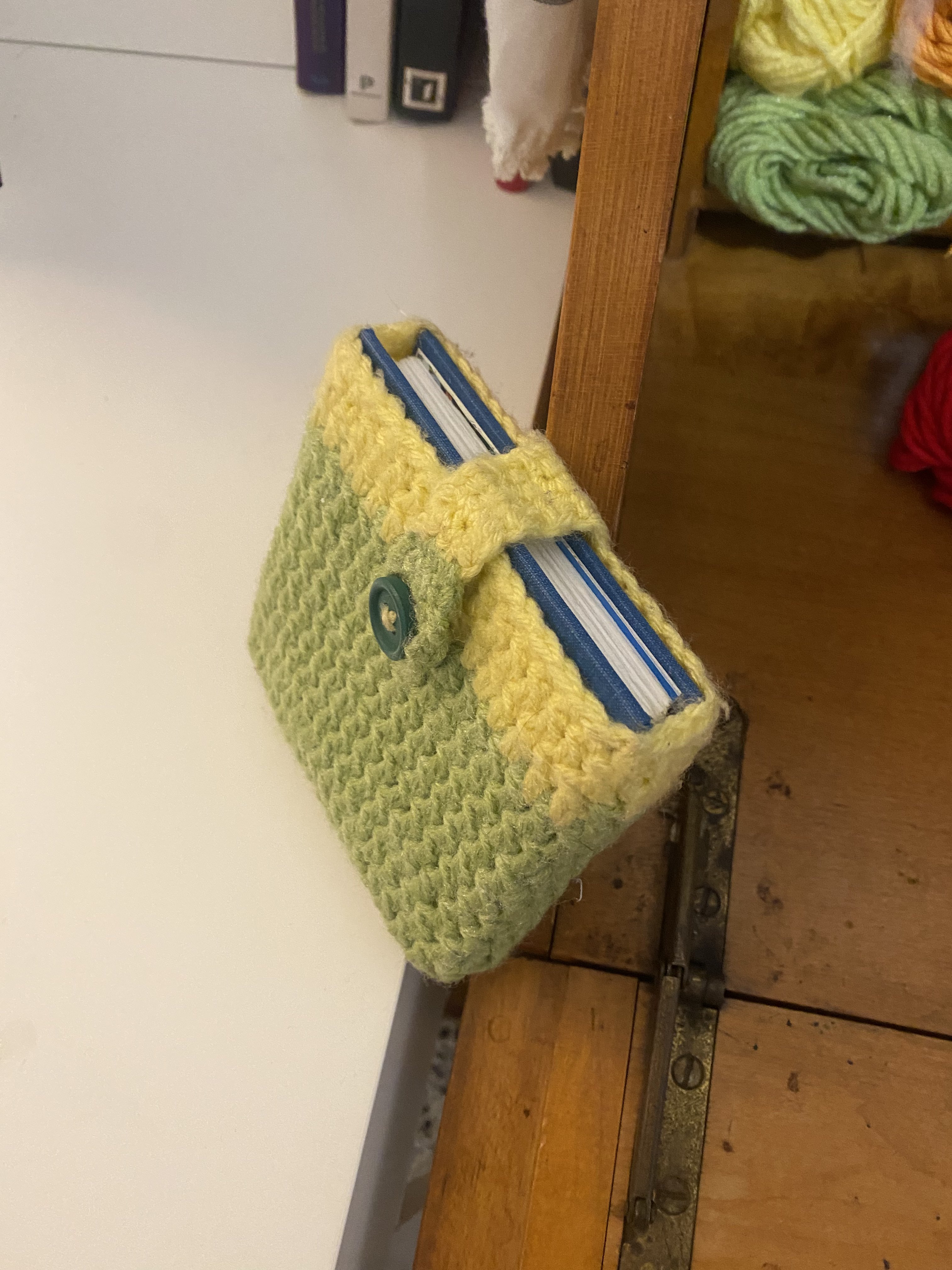 A book inside a crochet cover